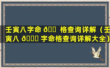 壬寅八字命 🐠 格查询详解（壬寅八 🐕 字命格查询详解大全）